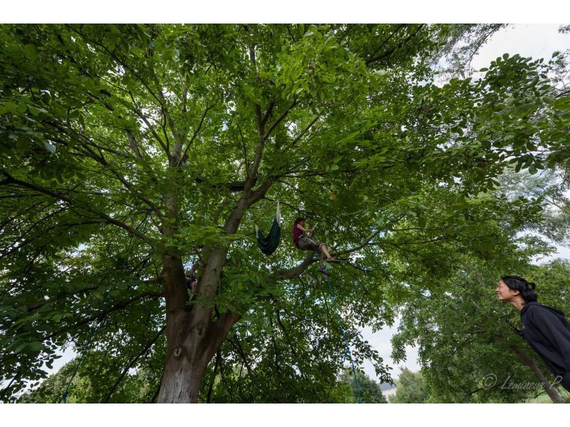 Moniteur de grimpe encadrée dans les arbres 